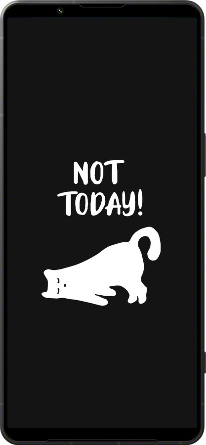 Силиконовый чехол Уставший кот для Sony Xperia 1 VI - 4535u-3975 изображение 