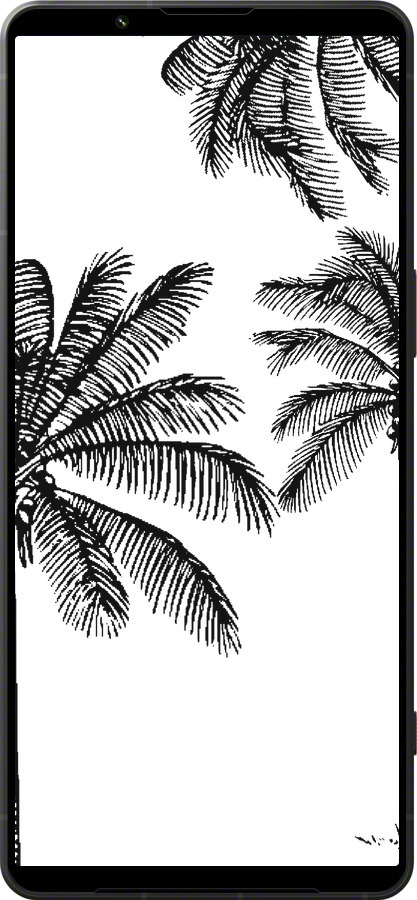 Силиконовый чехол Пальмы1 для Sony Xperia 1 VI - 4634u-3975 изображение 