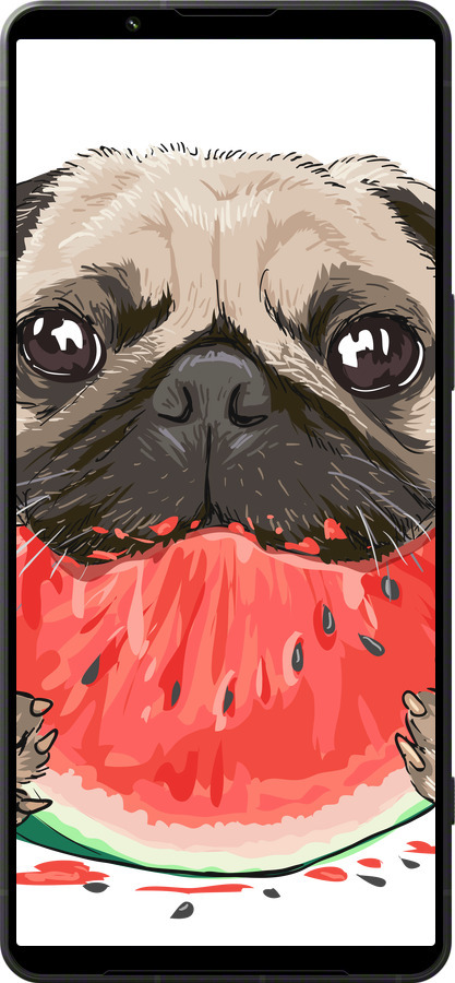 Силиконовый чехол Мопс и арбуз для Sony Xperia 1 VI - 4665u-3975 изображение 