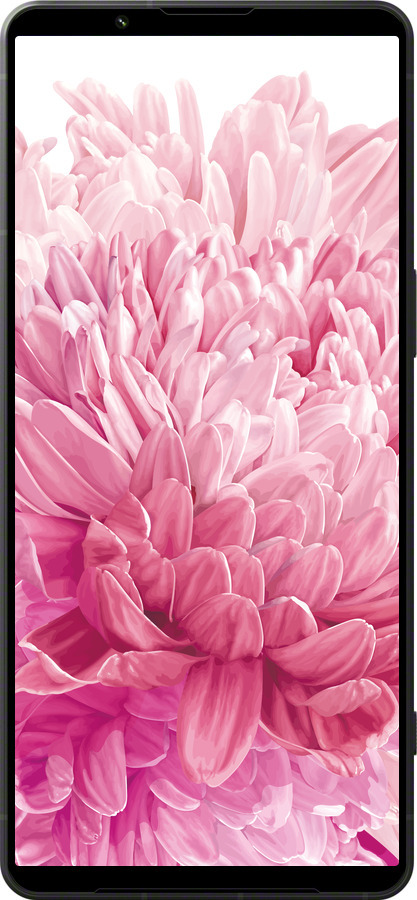 Силиконовый чехол Хризантема для Sony Xperia 1 VI - 4666u-3975 изображение 