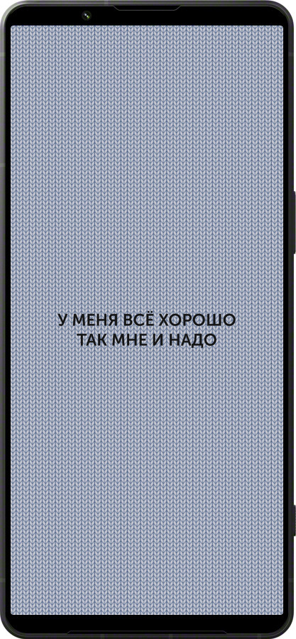 Силиконовый чехол Всё хорошо для Sony Xperia 1 VI - 4891u-3975 изображение 