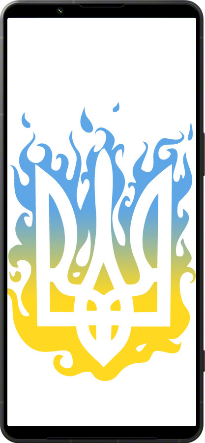 Силиконовый чехол Герб v1 для Sony Xperia 1 VI - 5258u-3975 изображение 