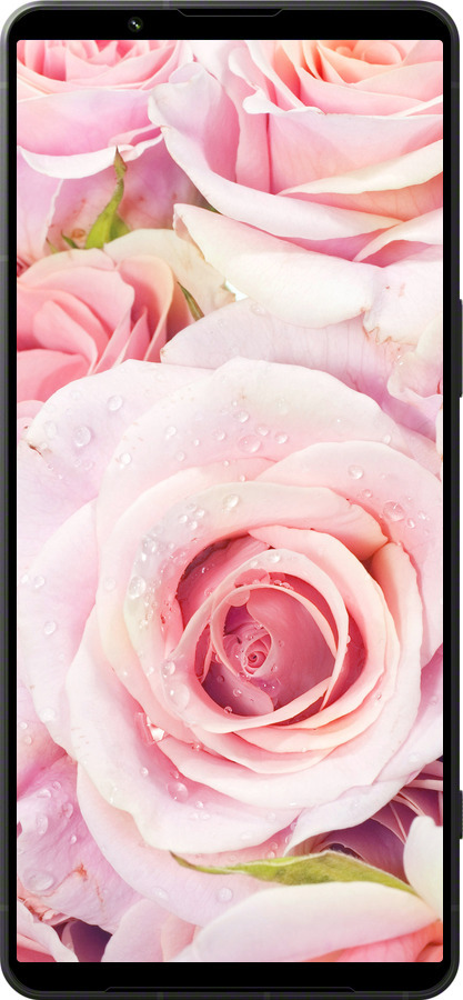 Силиконовый чехол Розы для Sony Xperia 1 VI - 525u-3975 изображение 