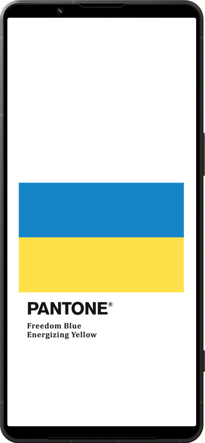 Силиконовый чехол Прапор Пантон для Sony Xperia 1 VI - 5275u-3975 изображение 