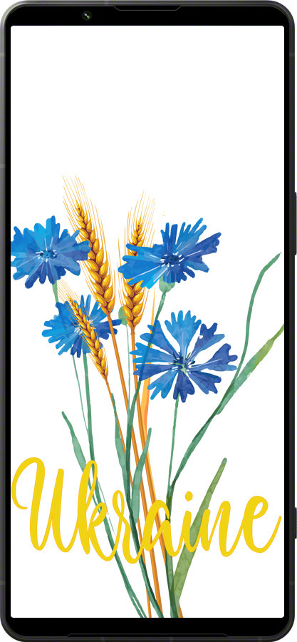 Силиконовый чехол Ukraine v2 для Sony Xperia 1 VI - 5445u-3975 изображение 