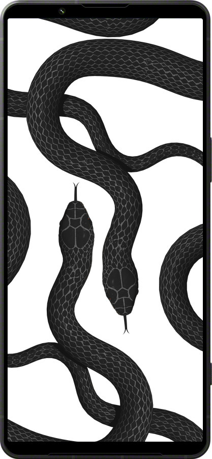 Силиконовый чехол Змеи для Sony Xperia 1 VI - 5473u-3975 изображение 