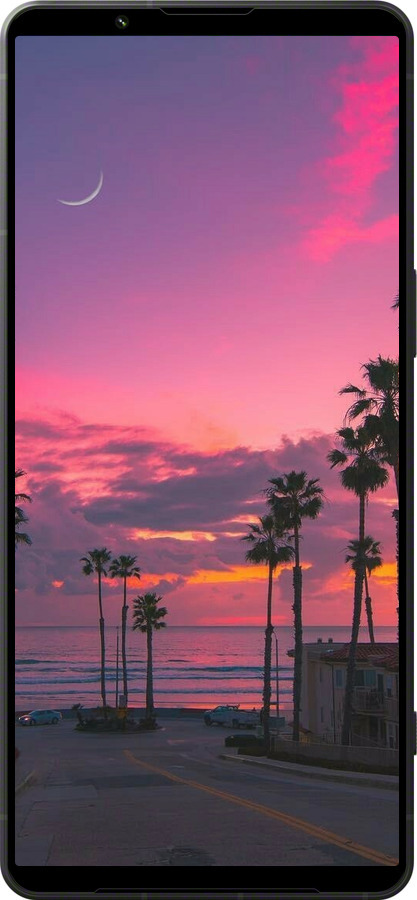 Силиконовый чехол Пальмы для Sony Xperia 1 VI - 5873u-3975 изображение 