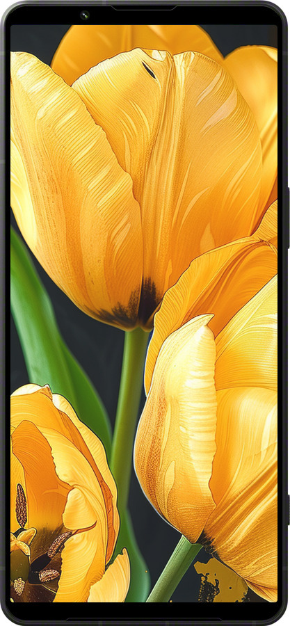 Силіконовий чехол Жовті тюльпани для Sony Xperia 1 VI - 5991u-3975 изображение 