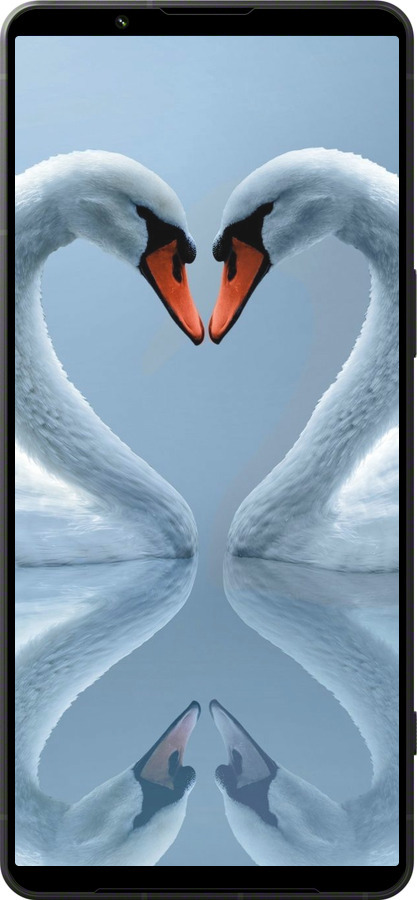 Силиконовый чехол Лебеди для Sony Xperia 1 VI - 6007u-3975 изображение 