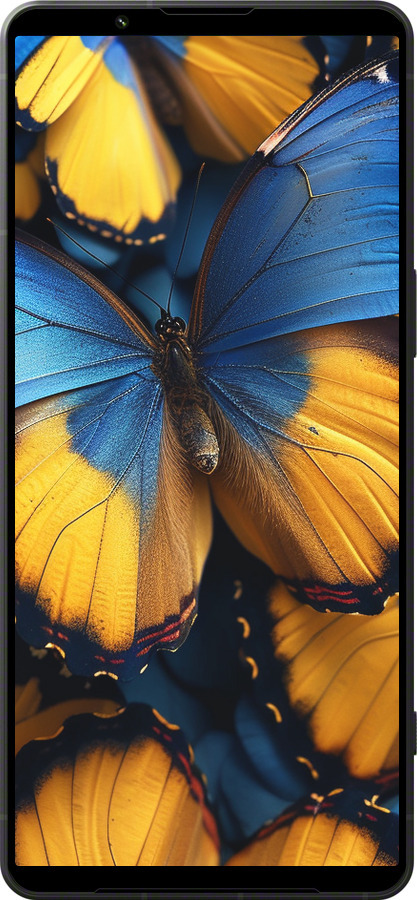 Силиконовый чехол Желто-голубые бабочки для Sony Xperia 1 VI - 6046u-3975 изображение 