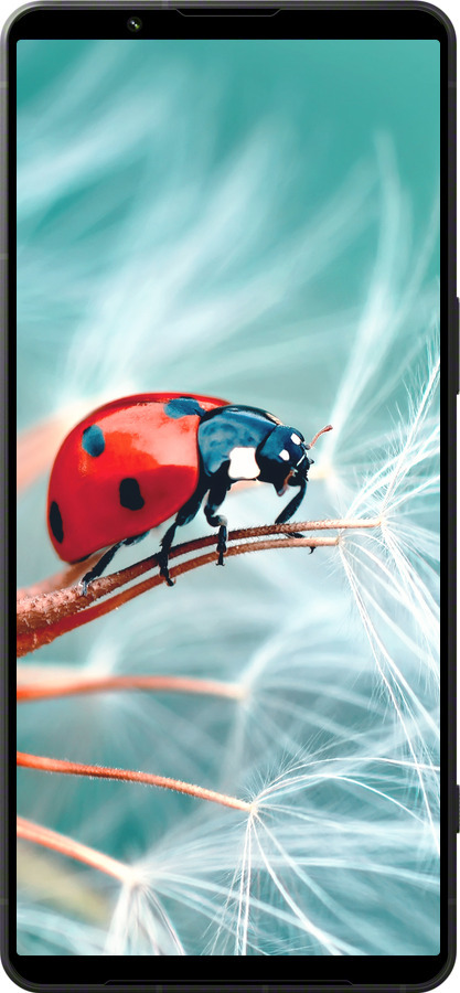 Силиконовый чехол Божья коровка для Sony Xperia 1 VI - 6049u-3975 изображение 