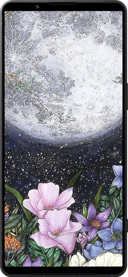 Силиконовый чехол Полночь в саду для Sony Xperia 1 VI - 6259u-3975 изображение 