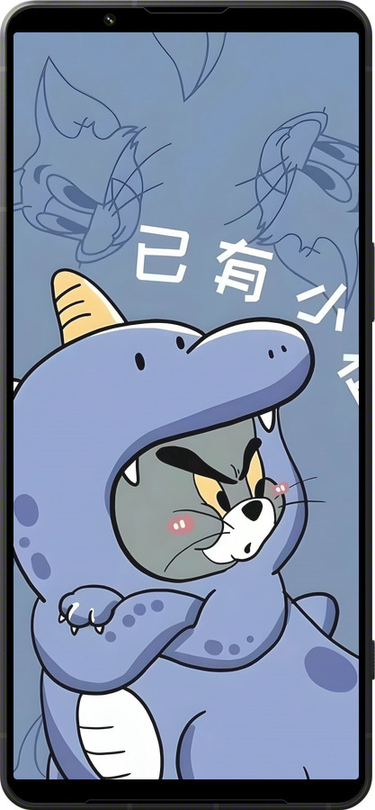 Силиконовый чехол Том и джерри 1 для Sony Xperia 1 VI - 6358u-3975 изображение 