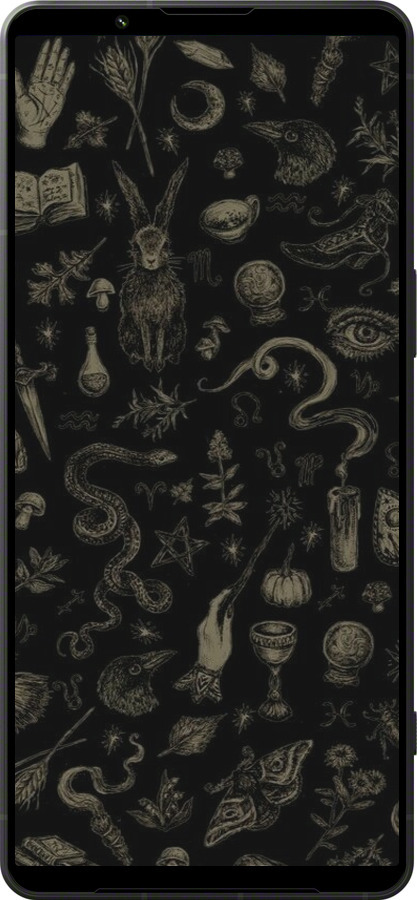 Силиконовый чехол Мистический коллаж с травами и магическими символами для Sony Xperia 1 VI - 6428u-3975 изображение 