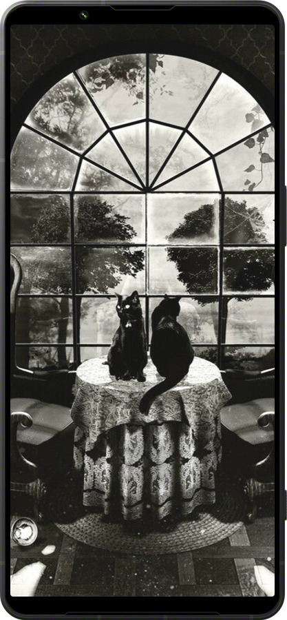 Силиконовый чехол Череп и коты для Sony Xperia 1 VI - 6432u-3975 изображение 