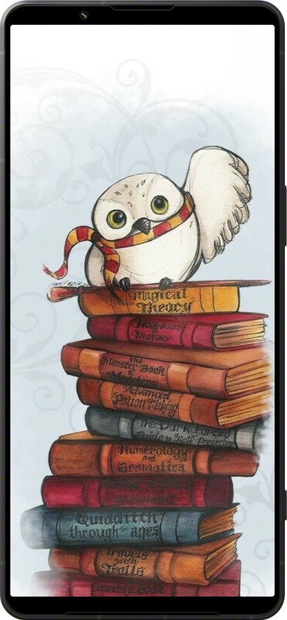 Силиконовый чехол Сова и книги для Sony Xperia 1 VI - 6436u-3975 изображение 