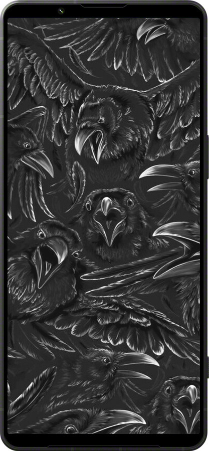 Силиконовый чехол Воронья ярость для Sony Xperia 1 VI - 6474u-3975 изображение 