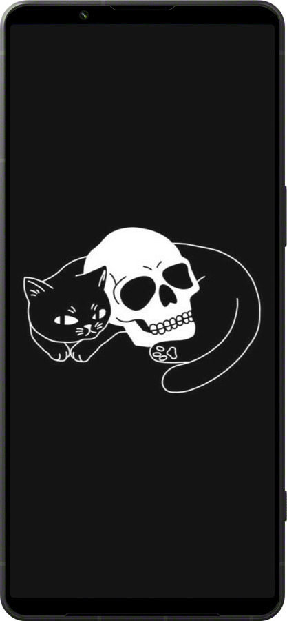 Силиконовый чехол С изображением кота и черепа для Sony Xperia 1 VI - 6491u-3975 изображение 