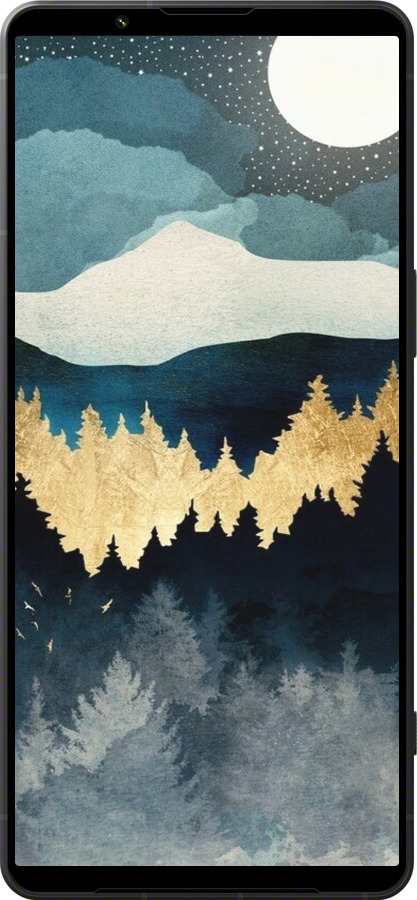Силіконовий чехол Нічний краєвид з лісом та горами для Sony Xperia 1 VI - 6493u-3975 изображение 