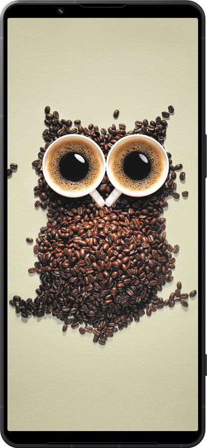Силиконовый чехол Сова из кофе для Sony Xperia 1 VI - 777u-3975 изображение 
