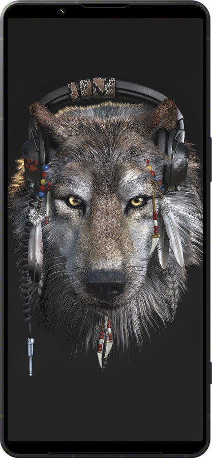 Силіконовий чехол Вовк-меломан для Sony Xperia 1 VI - 875u-3975 изображение 