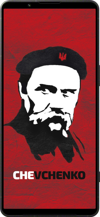 Силиконовый чехол Шевченко для Sony Xperia 1 VI - 879u-3975 изображение 