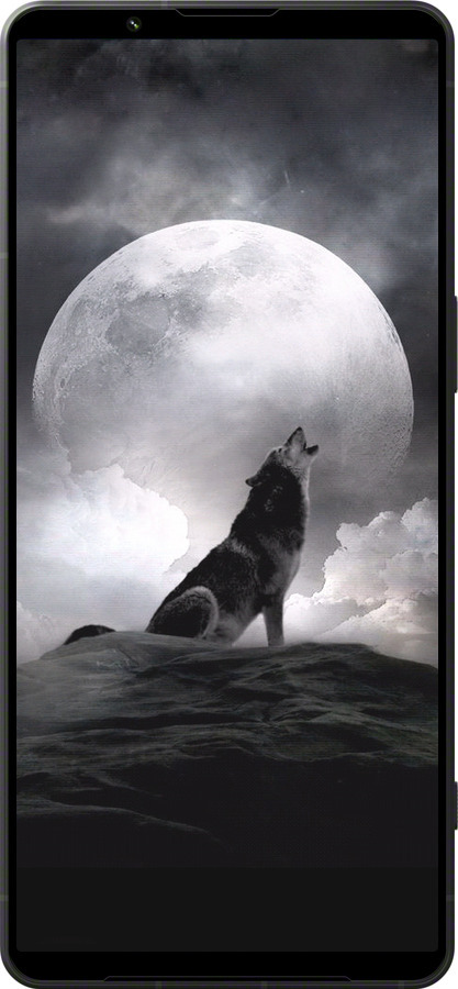 Силиконовый чехол Воющий волк для Sony Xperia 1 VI - 934u-3975 изображение 