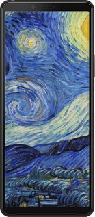 Силиконовый чехол «Звездная ночь» Винсента Ван Гога для Sony Xperia 10 II - 6433u-2528 изображение 