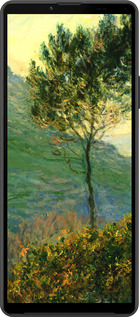 Силиконовый чехол Клод Моне для Sony Xperia 10 IV - 1193u-2789 изображение 