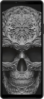 Силиконовый чехол skull-ornament для Sony Xperia 10 IV - 4101u-2789 изображение 