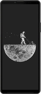 Силиконовый чехол Moon in dark для Sony Xperia 10 IV - 4176u-2789 изображение 