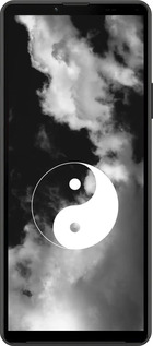 Силиконовый чехол Инь и Янь для Sony Xperia 10 IV - 4389u-2789 изображение 