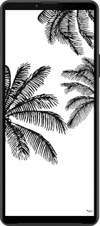 Силиконовый чехол Пальмы1 для Sony Xperia 10 IV - 4634u-2789 изображение 