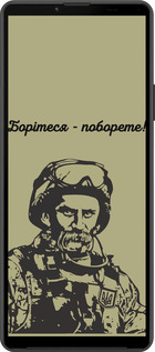 Силиконовый чехол Шевченко v1 для Sony Xperia 10 IV - 5241u-2789 изображение 