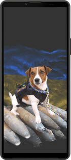 Силиконовый чехол Патрон для Sony Xperia 10 IV - 5320u-2789 изображение 