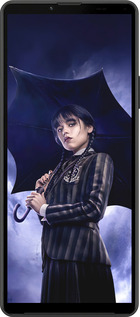 Силиконовый чехол Wednesday v2 для Sony Xperia 10 IV - 5516u-2789 изображение 