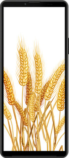 Силиконовый чехол Колоски пшеници для Sony Xperia 10 IV - 5866u-2789 изображение 