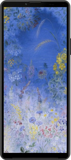 Силіконовий чехол Білокур для Sony Xperia 10 IV - 5908u-2789 изображение 