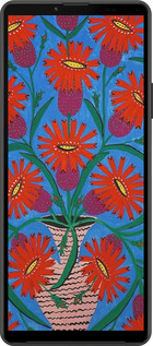 Силиконовый чехол Примаченко для Sony Xperia 10 IV - 5909u-2789 изображение 