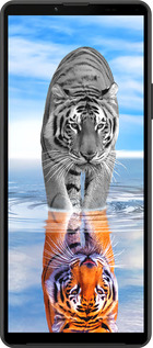 Силиконовый чехол Тигр для Sony Xperia 10 IV - 6016u-2789 изображение 