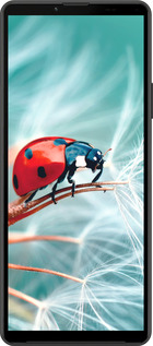 Силиконовый чехол Божья коровка для Sony Xperia 10 IV - 6049u-2789 изображение 