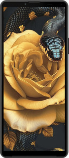 Силиконовый чехол Black snake and golden rose для Sony Xperia 10 IV - 6068u-2789 изображение 