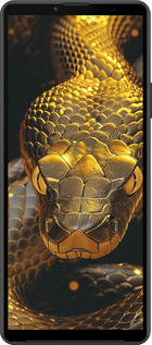 Силиконовый чехол Golden snake для Sony Xperia 10 IV - 6072u-2789 изображение 
