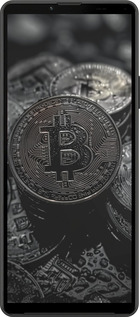 Силиконовый чехол Black Bitcoin для Sony Xperia 10 IV - 6090u-2789 изображение 