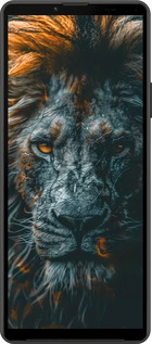 Силиконовый чехол Лев в сумерках для Sony Xperia 10 IV - 6154u-2789 изображение 