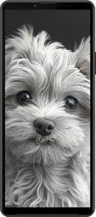 Силиконовый чехол Мальтипу на чорном фоне для Sony Xperia 10 IV - 6156u-2789 изображение 