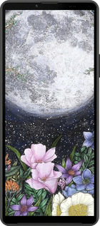 Силиконовый чехол Полночь в саду II для Sony Xperia 10 IV - 6424u-2789 изображение 