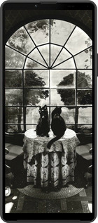 Силиконовый чехол Череп и коты для Sony Xperia 10 IV - 6432u-2789 изображение 