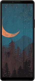 Силиконовый чехол Звездный лес для Sony Xperia 10 IV - 6480u-2789 изображение 