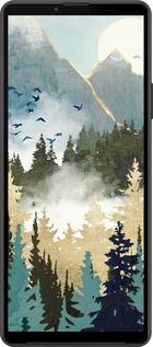 Силиконовый чехол С изображением лесного пейзажа для Sony Xperia 10 IV - 6548u-2789 изображение 